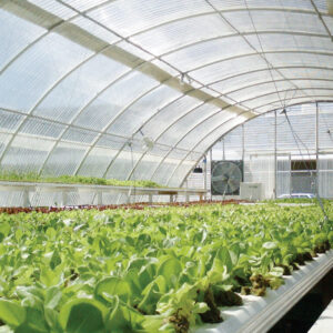 Greenhouse Farming Kits